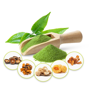 Mushroom Matcha Blend Solid Drink OEM