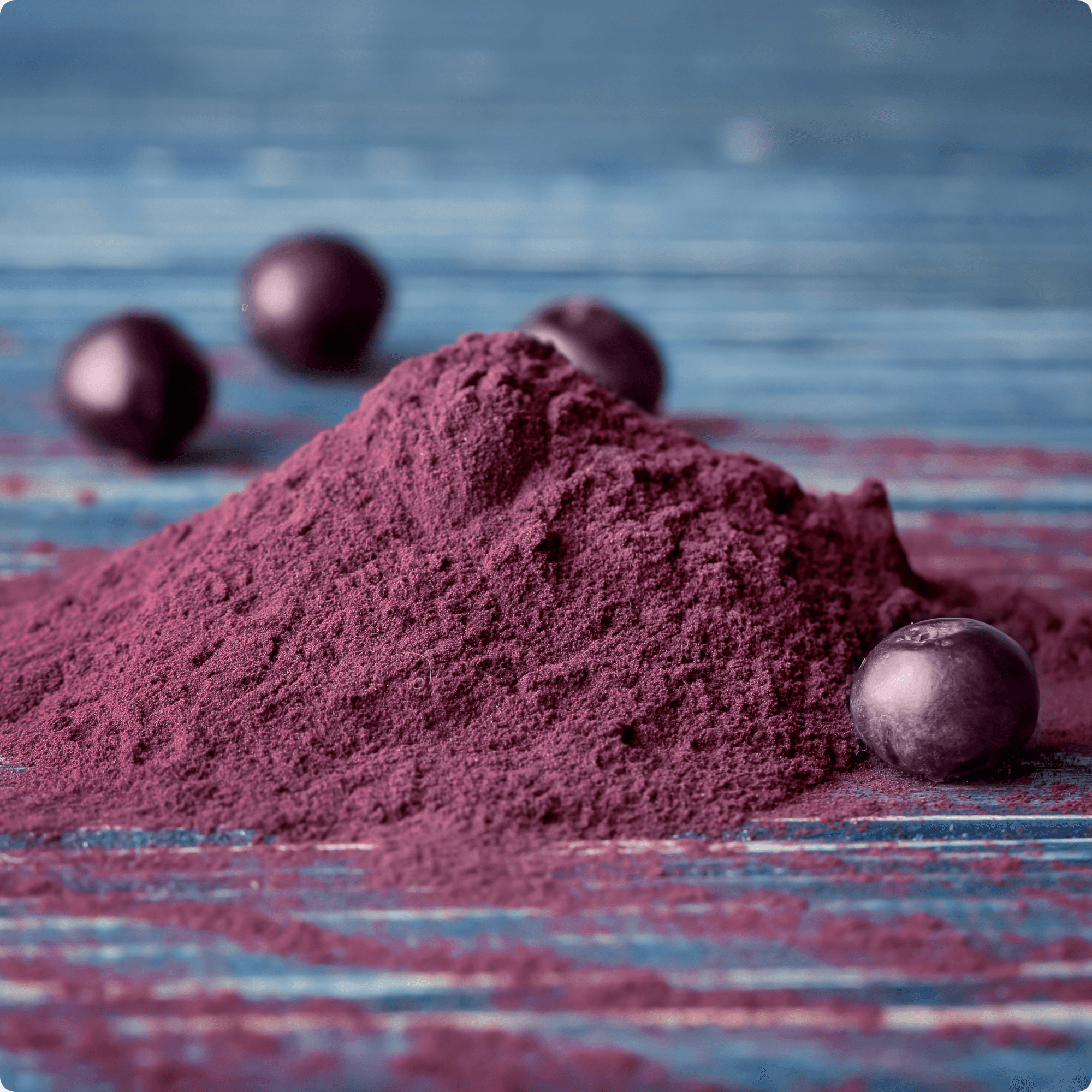 Multi-Flavor Plant Protein Powders