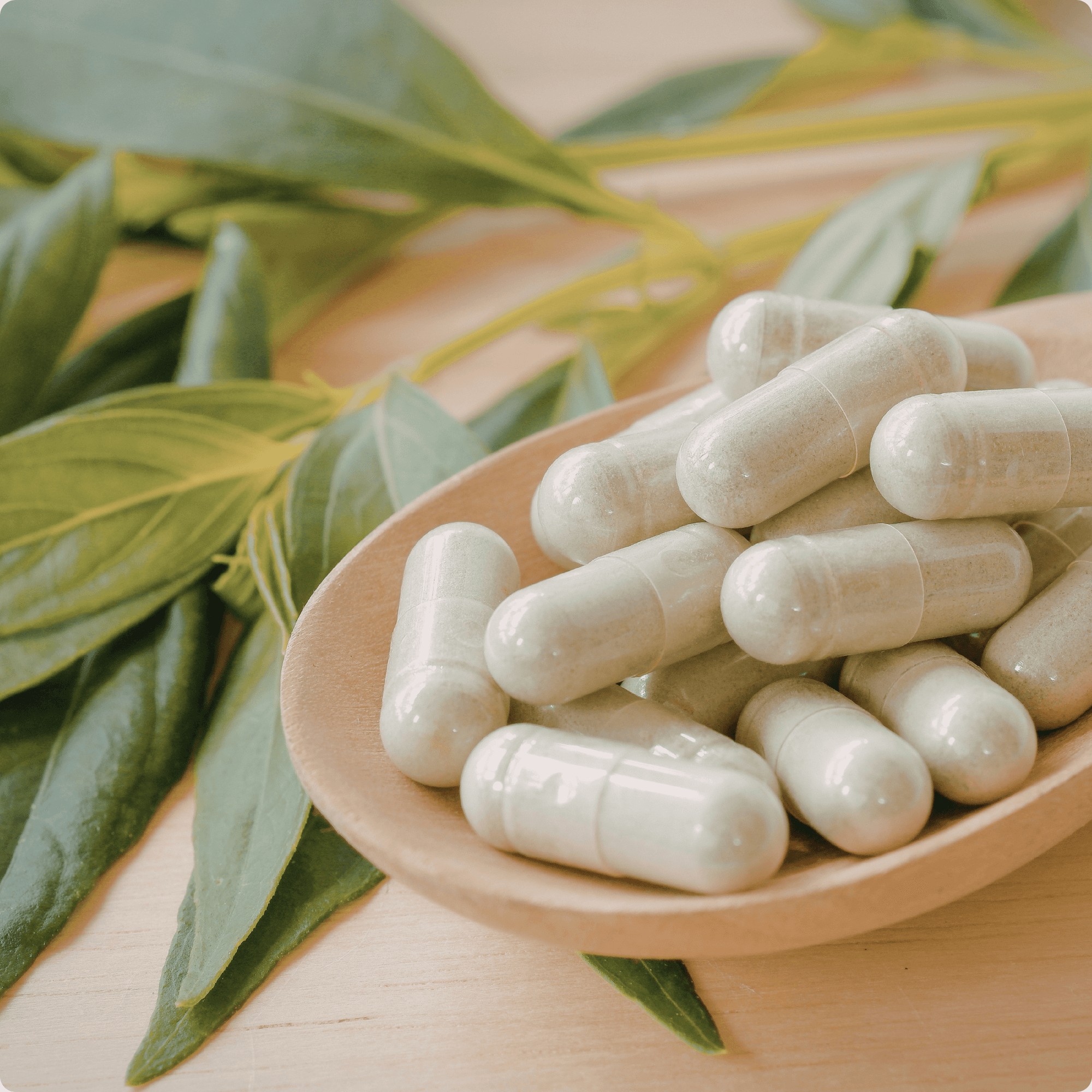Capsule Supplement Manufacturing