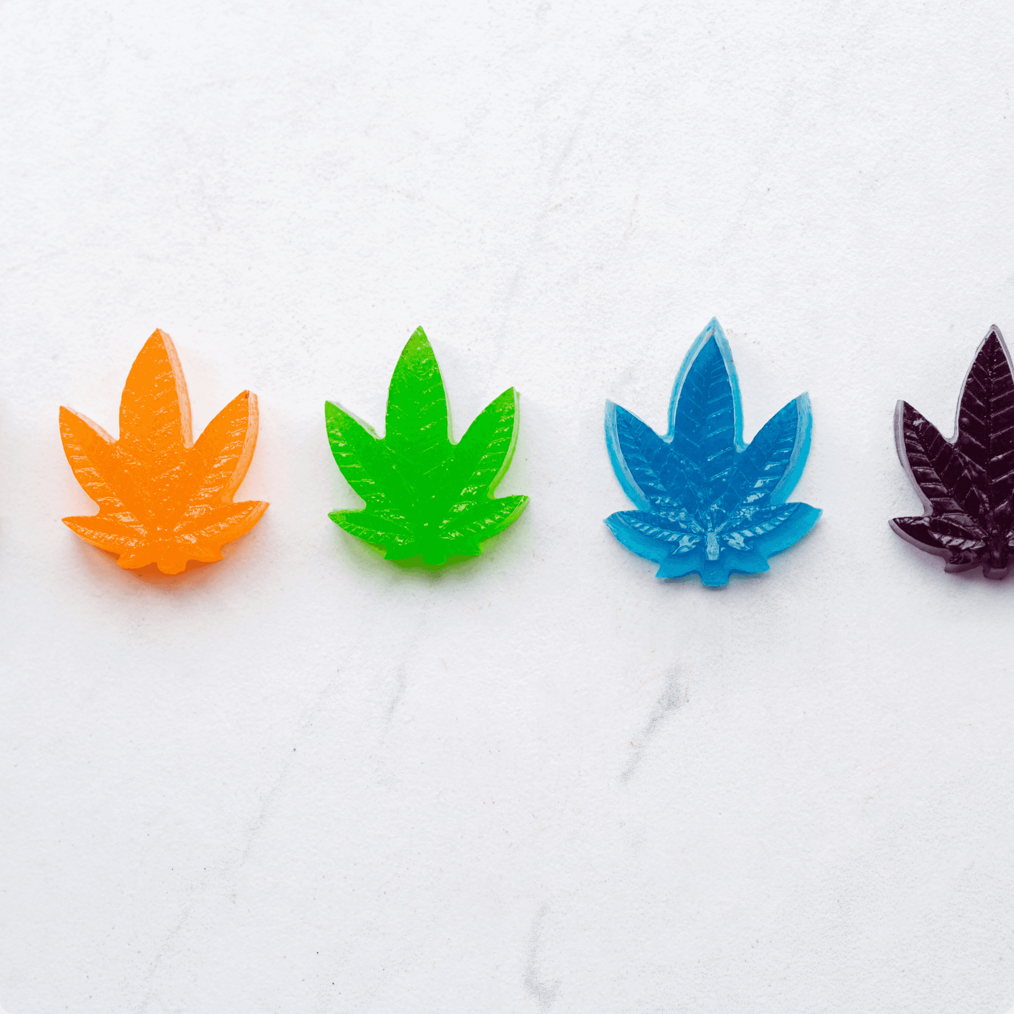 Botanical infused dark berry gummies